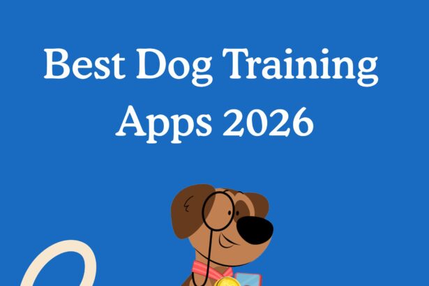 A Comparison for Puppy Owners — Zigzag Puppy Training App