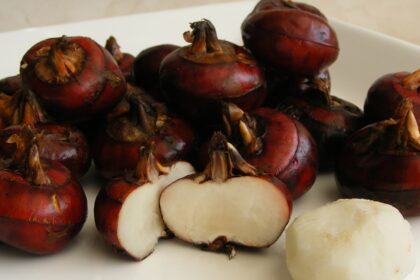 Can Dogs Eat Water Chestnuts? Are Water Chestnuts Safe For Dogs?
