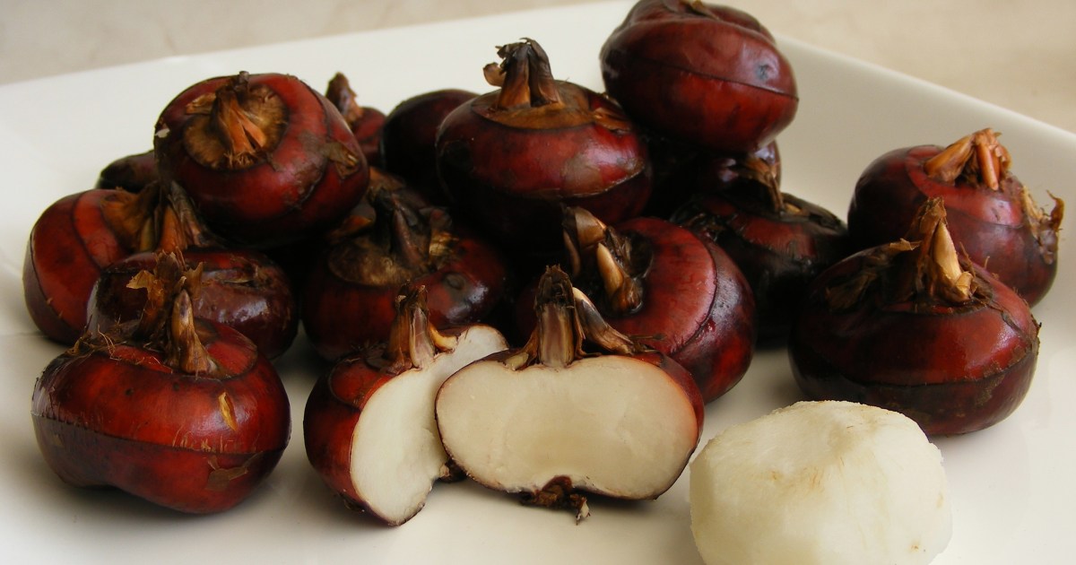 Can Dogs Eat Water Chestnuts? Are Water Chestnuts Safe For Dogs?