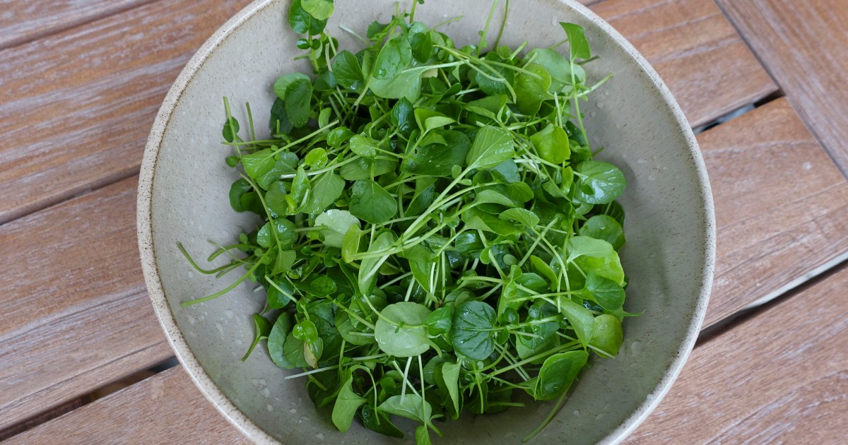 Can Dogs Eat Watercress? Is Watercress Safe For Dogs?