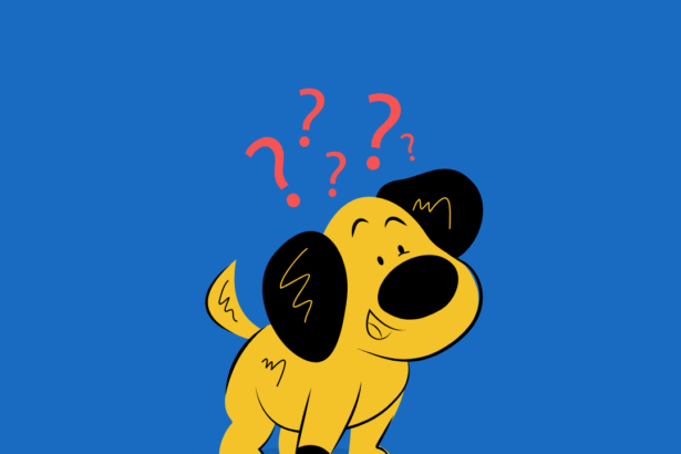 Dog Ear Infections: Signs, Symptoms and Treatment