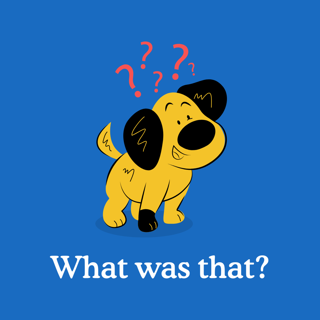Dog Ear Infections: Signs, Symptoms and Treatment