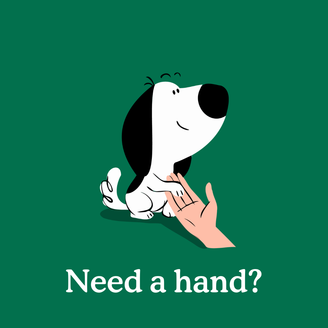 Dog Paw Pads: How to Care for and Treat them