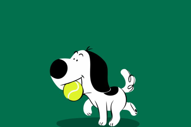How to teach your puppy “place”