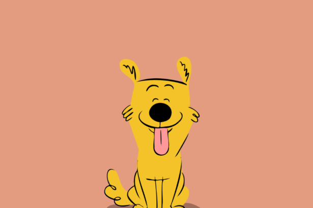 Puppy Adolescence – Understanding Your Teenage Puppy
