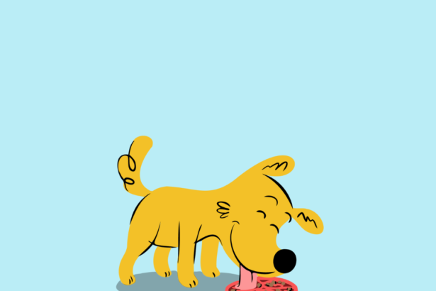 Vegetarian Dog Food: Should I feed vegetarian food to my puppy? 