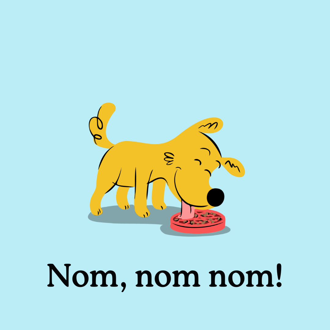 Vegetarian Dog Food: Should I feed vegetarian food to my puppy? 