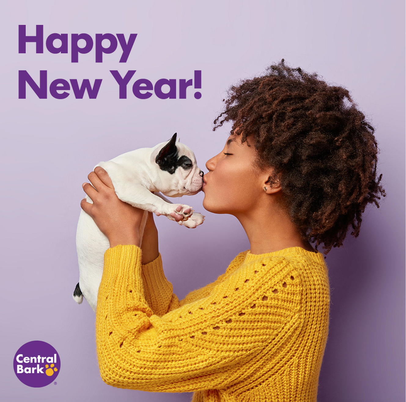 5 New Year's Resolutions for Dog Owners