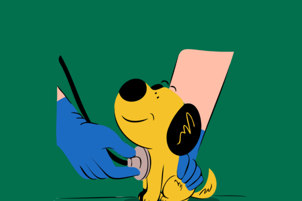 Essential first aid tips for new puppy parents
