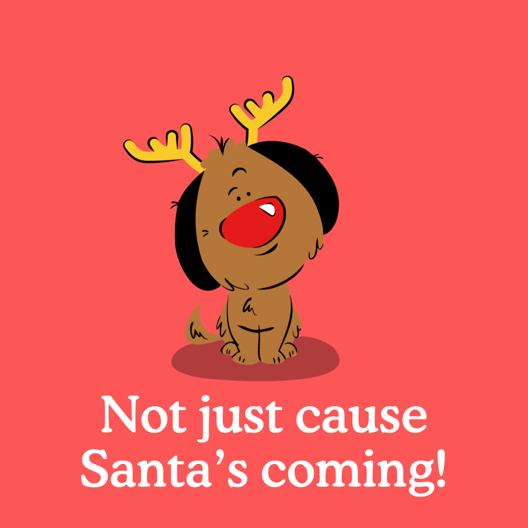 How do I keep my dog calm at Christmas