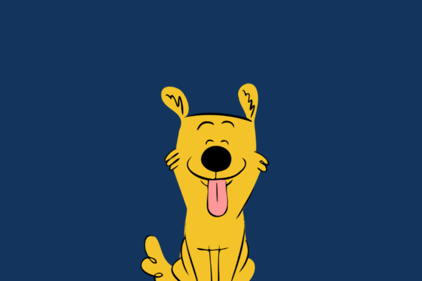 New Year, New Dog: Keeping your dog calm at new years