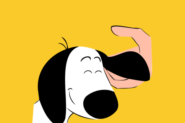 Positive Reinforcement Puppy Training: What does it mean?